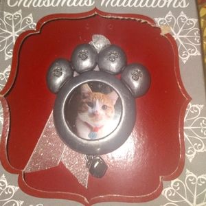 Handcrafted Cat Christmas  Ornament